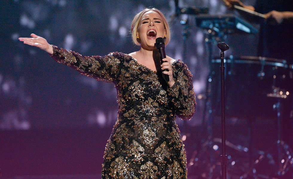 Singer Adele stops concert goer from filming her.