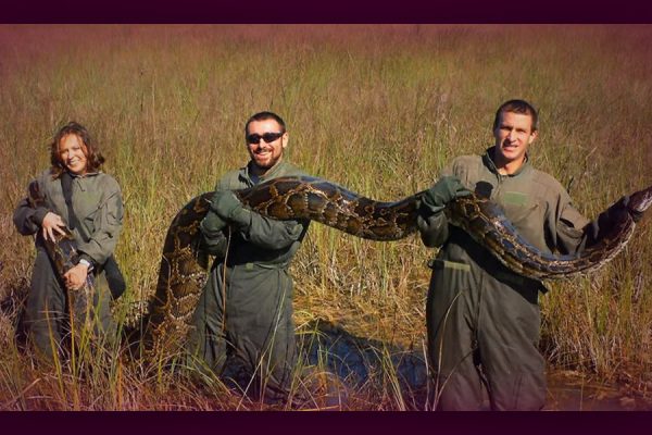 Join the Florida Snake Hunt