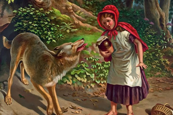 the fool