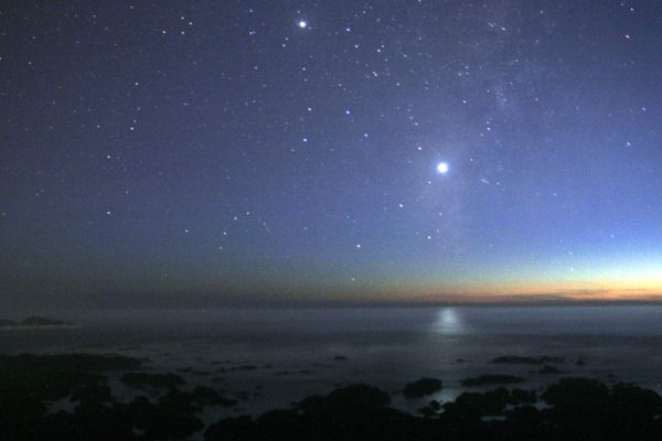 venus retrograde