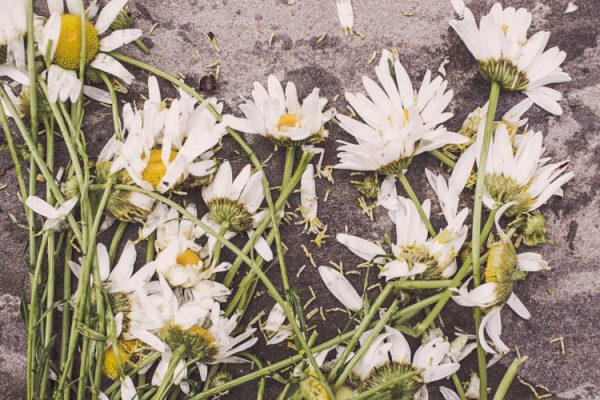 finality of death
