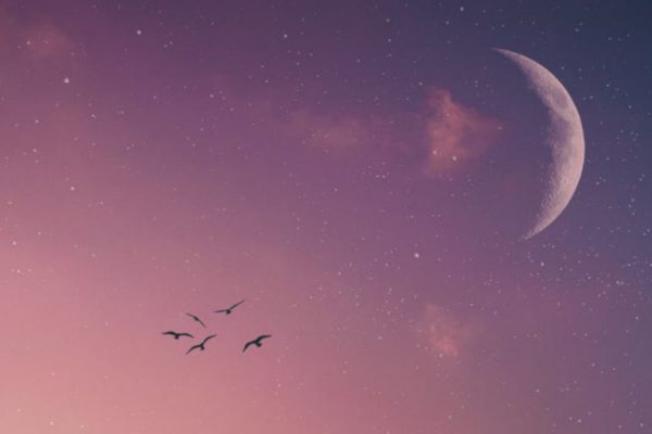 mystical moon